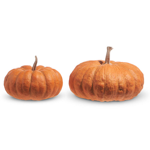 Raz Imports 2023 Holiday House 9.5" Pumpkins, Set of 2