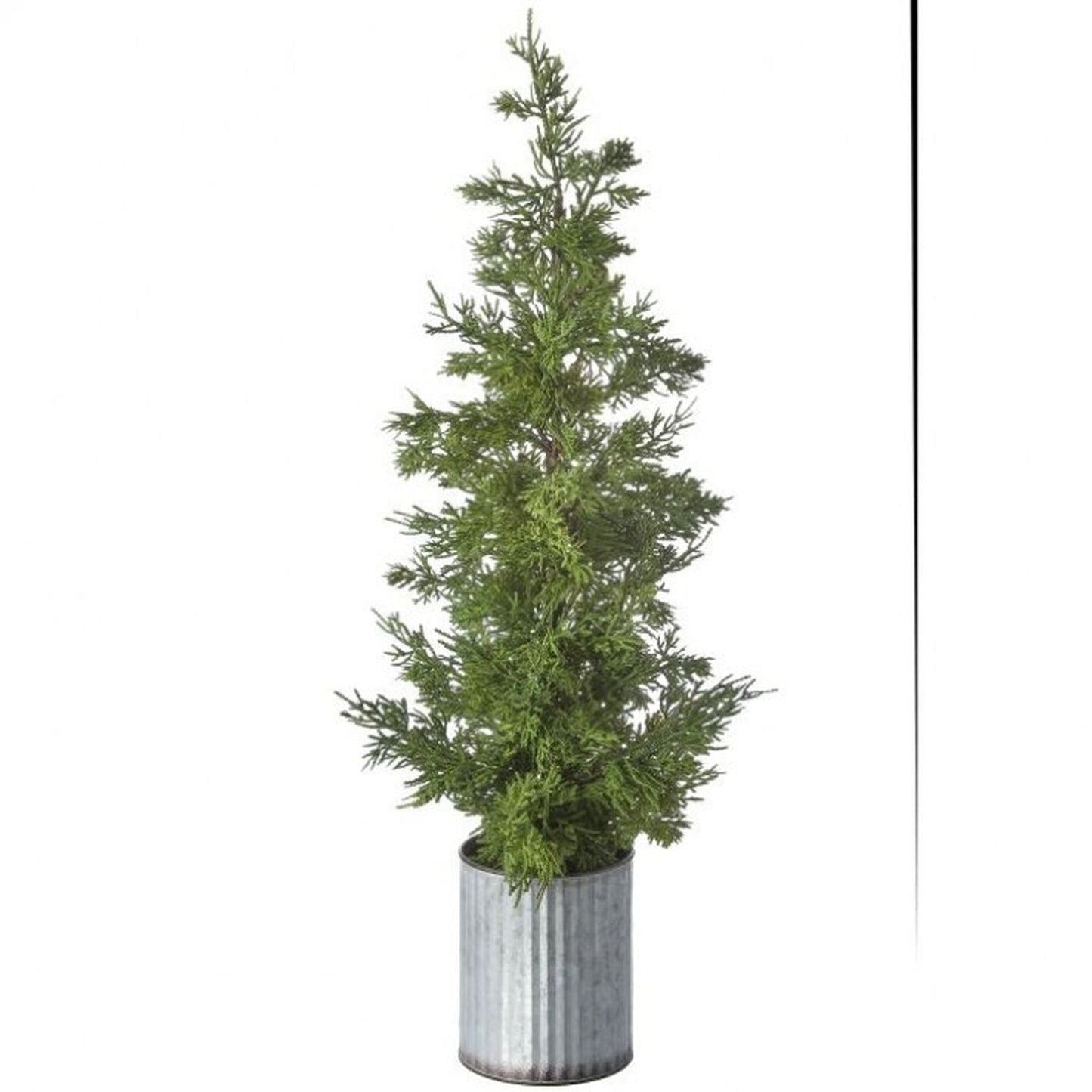 Regency International Galvanize Potted Cedar Plant