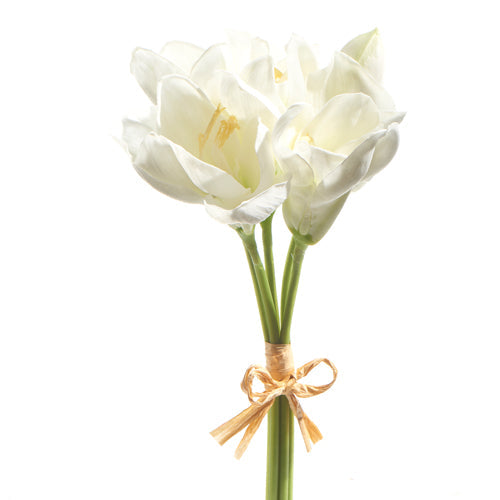 Raz Imports 2023 Bon Noel 12" Real Touch White Amaryllis Bundle