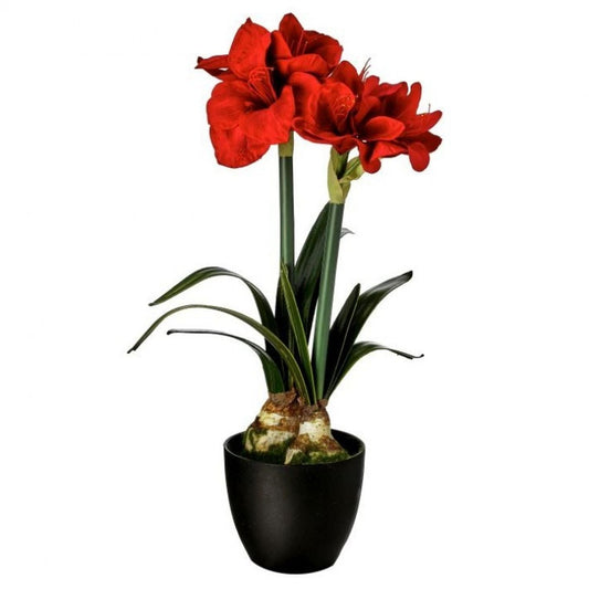 Regency International 28" Velvet Amaryllis Potted